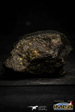 22386 - NWA Unclassified Chondrite LL3 Meteorite 167.4 g with Fusion Crust