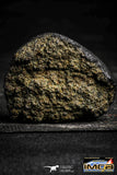 22387 - Top Rare 31.8g NWA Unclassified Chondrite H Type Meteorite with Fusion Crust