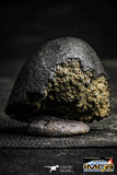 22387 - Top Rare 31.8g NWA Unclassified Chondrite H Type Meteorite with Fusion Crust