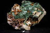 20927 - Beautiful Malachite Crystals on Barite Matrix - Taouz Barite Mines (Morocco)