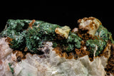 20927 - Beautiful Malachite Crystals on Barite Matrix - Taouz Barite Mines (Morocco)