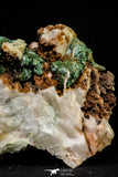 20927 - Beautiful Malachite Crystals on Barite Matrix - Taouz Barite Mines (Morocco)