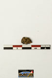 22268- Lunar Meteorite Paired with "NWA 11273" 0.511 g (Feldspathic Regolith Breccia)