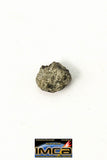 22277 - Top Rare "Tissint" MARTIAN Shergottite Meteorite 0.06 g