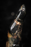 05299 - Taza (NWA 859) Iron Ungrouped Plessitic Octahedrite Meteorite 0.4g ORIENTED