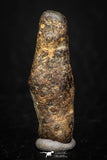 05383 - Agoudal Imilchil Iron IIAB Meteorite 6.2g Collector Grade