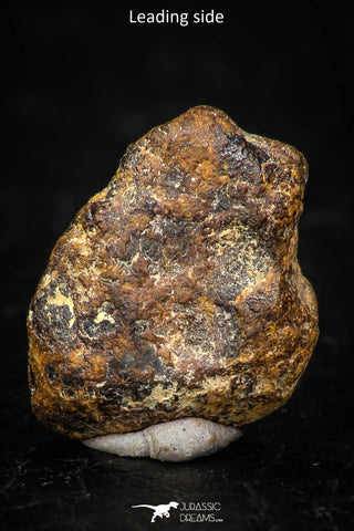 05385 - Agoudal Imilchil Iron IIAB Meteorite <1g ORIENTED Collector Grade