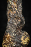 05390 - Agoudal Imilchil Iron IIAB Meteorite 2.0g Collector Grade