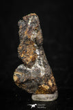 05390 - Agoudal Imilchil Iron IIAB Meteorite 2.0g Collector Grade