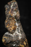 05390 - Agoudal Imilchil Iron IIAB Meteorite 2.0g Collector Grade