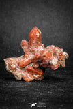 20080 - Top Beautiful 2.14 Inch Natural Red Iron-Oxide Coated Quartz Crystals Cluster