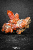 20080 - Top Beautiful 2.14 Inch Natural Red Iron-Oxide Coated Quartz Crystals Cluster