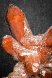 20080 - Top Beautiful 2.14 Inch Natural Red Iron-Oxide Coated Quartz Crystals Cluster