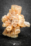 20084 - Nice 1.28 Inch Aragonite Twinned Crystal Cluster - Safro Mine, Bou Azzer, Morocco