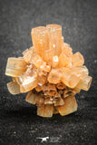 20084 - Nice 1.28 Inch Aragonite Twinned Crystal Cluster - Safro Mine, Bou Azzer, Morocco