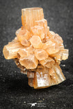 20084 - Nice 1.28 Inch Aragonite Twinned Crystal Cluster - Safro Mine, Bou Azzer, Morocco