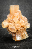 20084 - Nice 1.28 Inch Aragonite Twinned Crystal Cluster - Safro Mine, Bou Azzer, Morocco