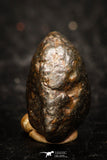 05794 - Fully Complete NWA L-H Type Unclassified Ordinary Chondrite Meteorite 2.4g