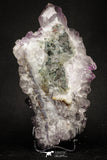 20141 - Beautiful Purple Natural Amethyst Crystals Cluster Minas Gerais District - Brazil