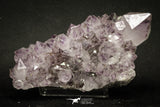 20141 - Beautiful Purple Natural Amethyst Crystals Cluster Minas Gerais District - Brazil