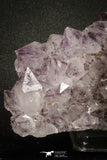 20141 - Beautiful Purple Natural Amethyst Crystals Cluster Minas Gerais District - Brazil