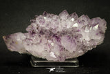 20141 - Beautiful Purple Natural Amethyst Crystals Cluster Minas Gerais District - Brazil