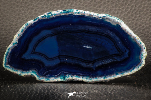 07310 -  Extremely Beautiful 3.59 Inch Brazilian Agate Slice (Chalcedony Geode Section)