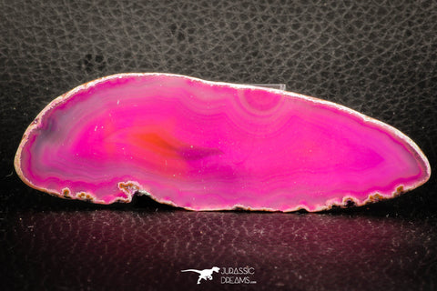 07311 -  Extremely Beautiful 3.79 Inch Brazilian Agate Slice (Chalcedony Geode Section)