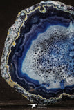 20254 -  Extremely Beautiful 5.52 Inch Brazilian Agate Slice (Chalcedony Geode Section)