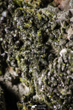 21577 - Top Huge Slender Grass Green Epidote Crystals on Matrix Imilchil Mine Morocco