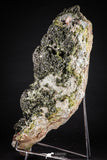 21577 - Top Huge Slender Grass Green Epidote Crystals on Matrix Imilchil Mine Morocco