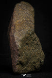 21455 - Almost Complete NWA Unclassified Ordinary Chondrite Meteorite 288.0g