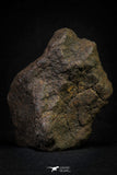 21455 - Almost Complete NWA Unclassified Ordinary Chondrite Meteorite 288.0g