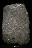 21458 - Top Rare Unclassified Chondrite H Type Meteorite 47.4g Polished Section