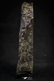 21458 - Top Rare Unclassified Chondrite H Type Meteorite 47.4g Polished Section