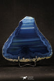 20392 -  Extremely Beautiful 5.07 Inch Brazilian Agate Slice (Chalcedony Geode Section)