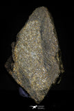 21466 - Unclassified Chondrite Meteorite 13.8g Polished Section