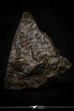 21466 - Unclassified Chondrite Meteorite 13.8g Polished Section