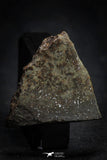 21469 - NWA Unclassified Chondrite Meteorite 25.1g Polished Section