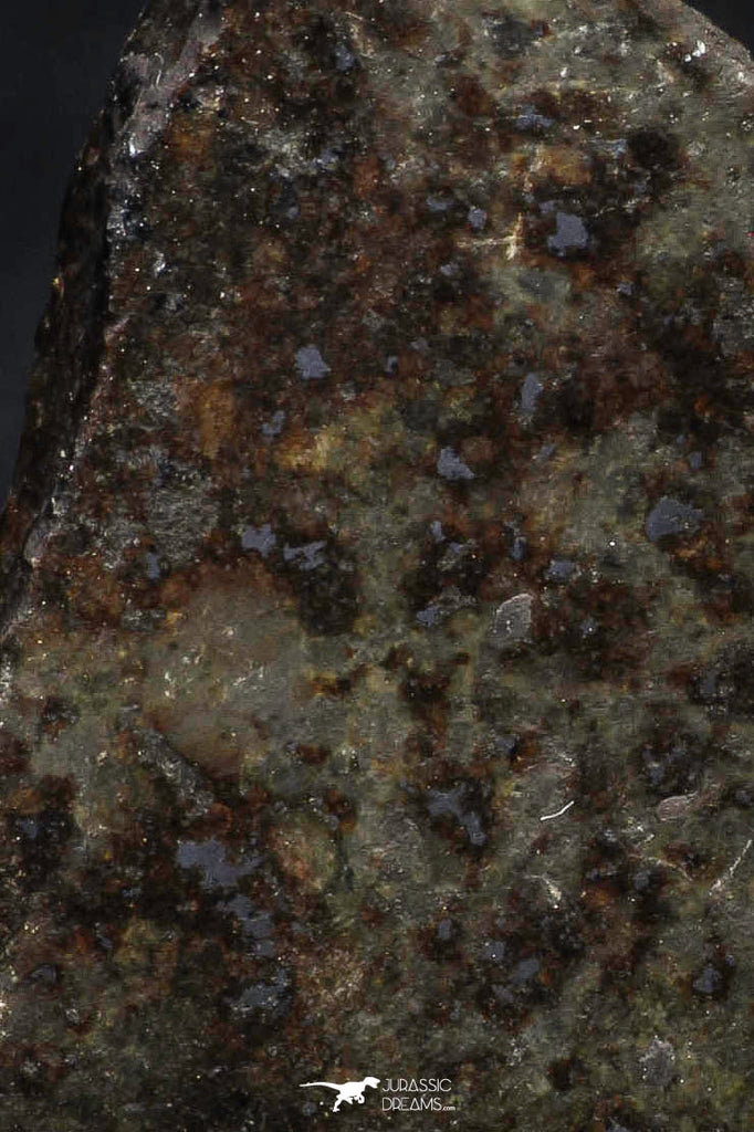 21470 - NWA Unclassified Chondrite Meteorite 25.2g Polished Section