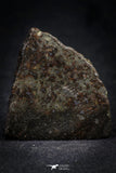 21470 - NWA Unclassified Chondrite Meteorite 25.2g Polished Section