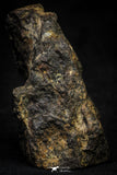 21473 - Top Rare NWA Unclassified Carbonaceous Chondrite 70.6g Polished Section