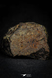 21476 - NWA Unclassified Chondrite Meteorite 58.8g Polished Section