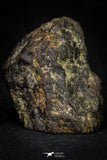 21476 - NWA Unclassified Chondrite Meteorite 58.8g Polished Section