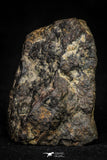 21476 - NWA Unclassified Chondrite Meteorite 58.8g Polished Section