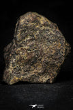 21476 - NWA Unclassified Chondrite Meteorite 58.8g Polished Section