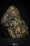 21477 - NWA Unclassified Chondrite Meteorite 22.6g Polished Section