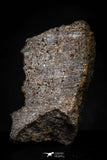 21486 - NWA Unclassified Chondrite Meteorite 3.5g Polished Section