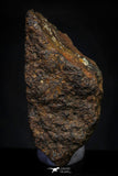 21486 - NWA Unclassified Chondrite Meteorite 3.5g Polished Section