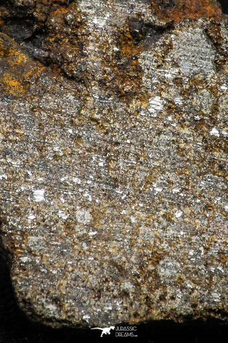 21487 - NWA Unclassified Chondrite Meteorite 9.1g Polished Section